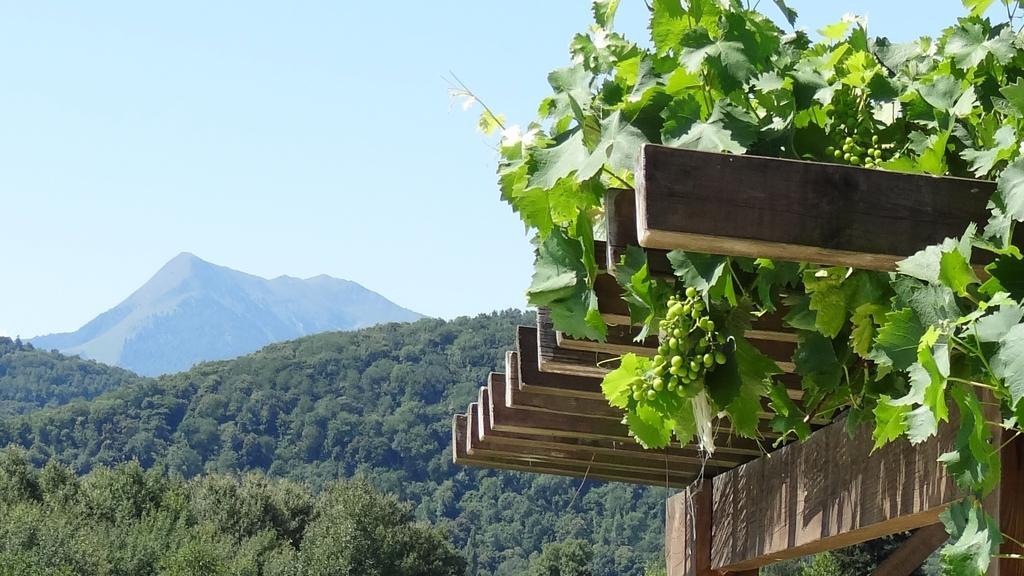 Gites Pyrenees Les Trois Montagnes Ganties Szoba fotó